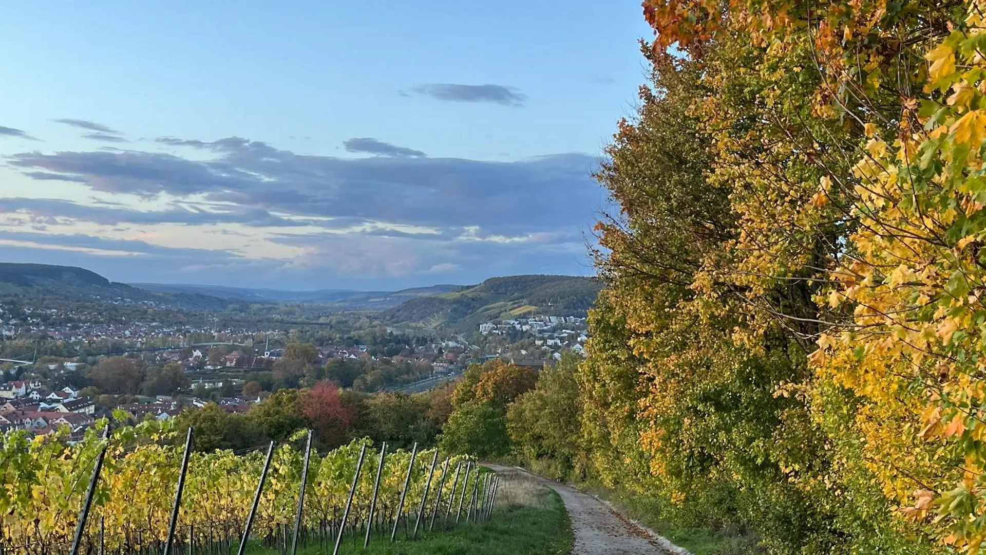 Ferienhaus Weinbergblick - Nahe Wuerzburg - 2 Schlafzimmer - Familienfreundlich - Terrasse Unterleinach 0*,